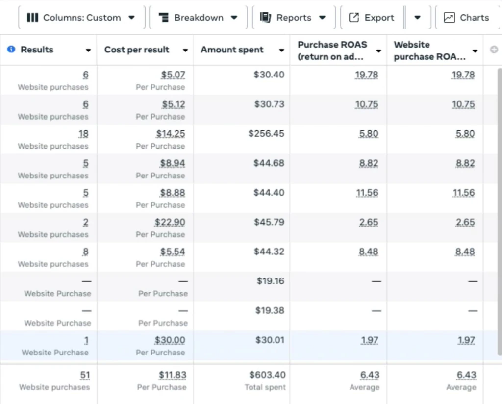 6.43 ROAS & 51 Purchases Ads Dashboard